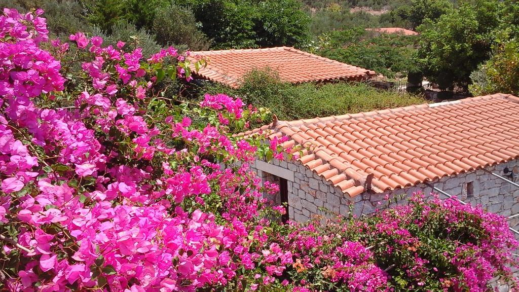 Sophia Mina Green Villa المظهر الخارجي الصورة
