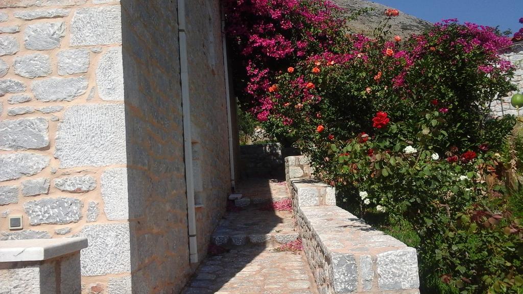 Sophia Mina Green Villa المظهر الخارجي الصورة